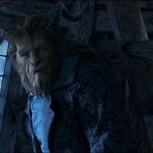 Fotoğraf Güzel ve Çirkin