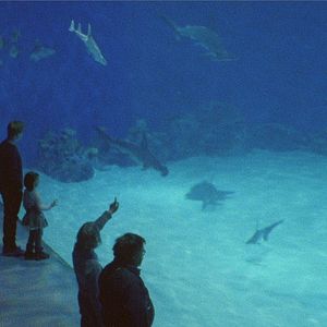 Fotoğraf At Elske Pia