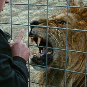 Fotoğraf Bay Kâinat