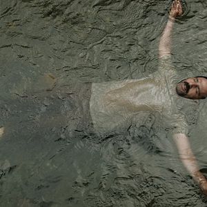 Fotoğraf Son Kuşlar