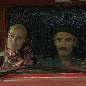 Fotoğraf Son Kuşlar