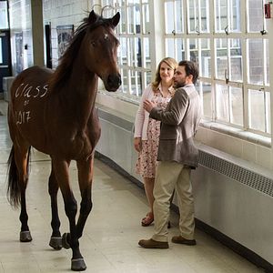 Fotoğraf Fist Fight