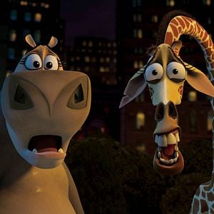 Fotoğraf Madagaskar