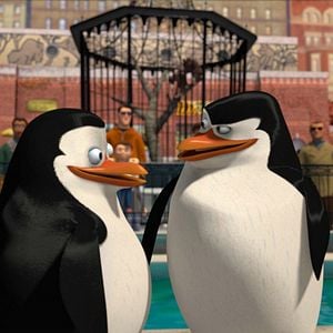 Fotoğraf Madagaskar