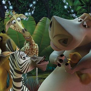 Fotoğraf Madagaskar