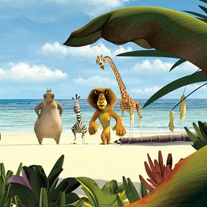 Fotoğraf Madagaskar