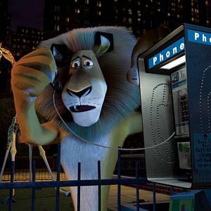 Fotoğraf Madagaskar