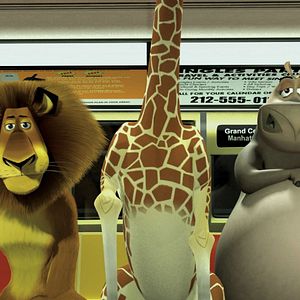 Fotoğraf Madagaskar