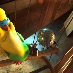 Fotoğraf Bak Şu Leyleğe