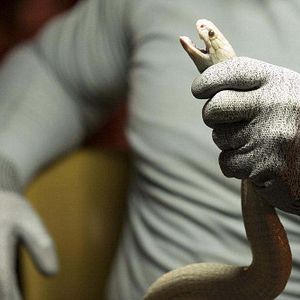 Fotoğraf The Blacklist