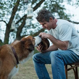 Fotoğraf Can Dostum