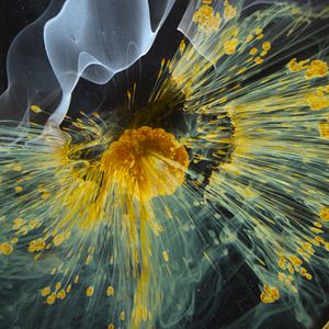 Fotoğraf Voyage of Time: Life's Journey