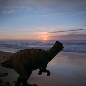 Fotoğraf Voyage of Time: Life's Journey