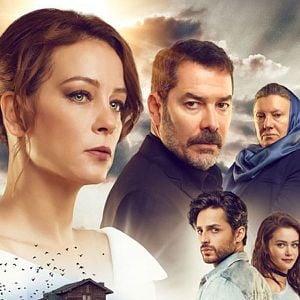 Fotoğraf Kırlangıç Fırtınası