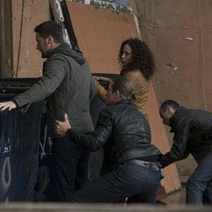 Fotoğraf Tawny Cypress