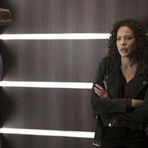 Fotoğraf Tawny Cypress