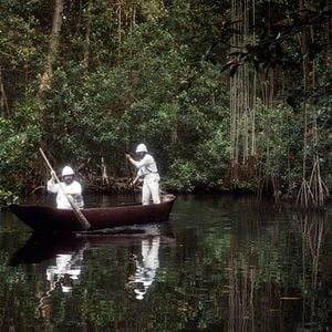 Fotoğraf Nuno Lopes