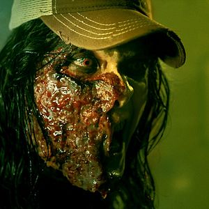 Fotoğraf Wayne W. Johnson