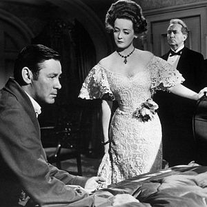 Fotoğraf The Little Foxes