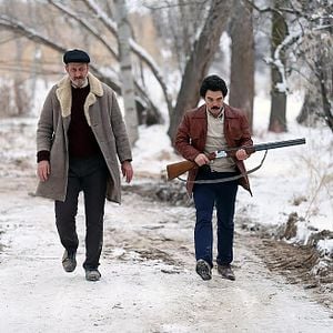 Fotoğraf Kırlangıç Fırtınası