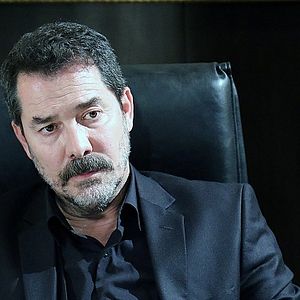 Fotoğraf Kırlangıç Fırtınası