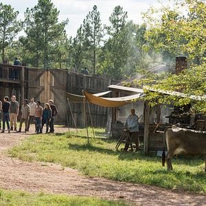 Fotoğraf The Walking Dead