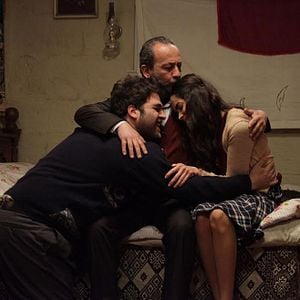 Fotoğraf Kırlangıç Fırtınası