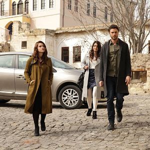 Fotoğraf Kırlangıç Fırtınası