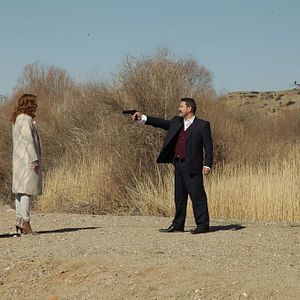 Fotoğraf Kırlangıç Fırtınası