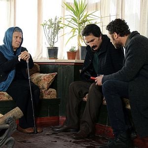 Fotoğraf Kırlangıç Fırtınası