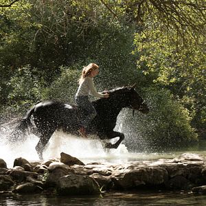 Fotoğraf Ostwind 3 - Aufbruch nach Ora