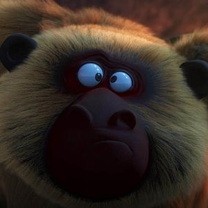 Fotoğraf Orman Çetesi