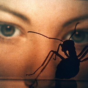 Fotoğraf Lynne Frederick