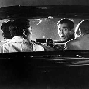 Fotoğraf Yüksek ve Alçak