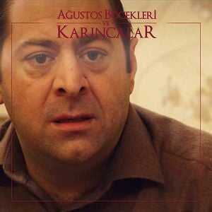 Fotoğraf Ağustos Böcekleri ve Karıncalar