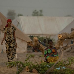 Fotoğraf Bayiri, la patrie