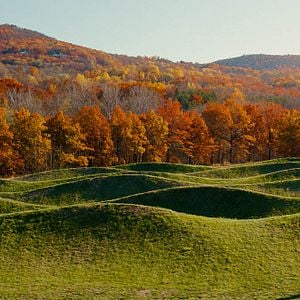 Fotoğraf Master of None