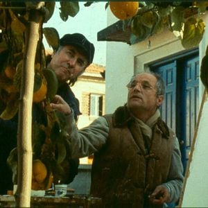 Fotoğraf Ayva Ağacı Güneşi