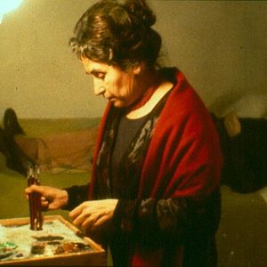 Fotoğraf Ayva Ağacı Güneşi