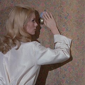 Fotoğraf Gündüz Güzeli