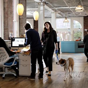 Fotoğraf Allison Tolman