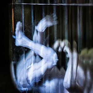 Fotoğraf What the Waters Left Behind