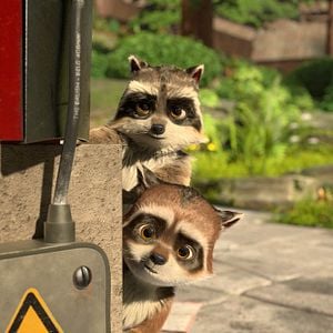 Fotoğraf Kocaayak ve Oğlu