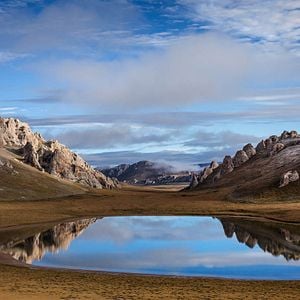 Fotoğraf Born In China