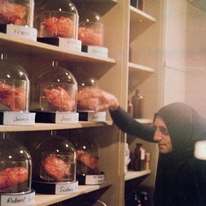 Fotoğraf Young Frankenstein