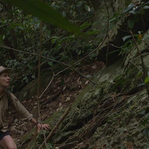 Fotoğraf Cyril Descours