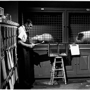 Fotoğraf Leo G. Carroll