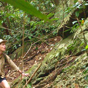 Fotoğraf Cyril Descours