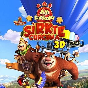 Fotoğraf Ayı Kardeşler 3: Sirkte Curcuna
