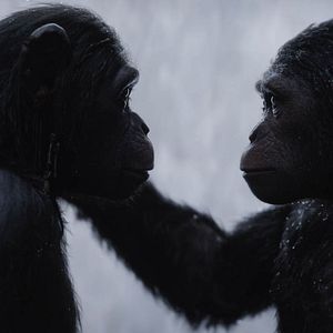 Fotoğraf Maymunlar Cehennemi: Savaş